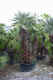 1.jpg (374724 byte)