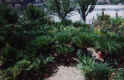 1.jpg (139614 byte)