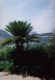 3.jpg (87327 byte)