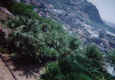 4.jpg (137078 byte)