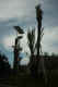 PICT0080.JPG (218277 byte)