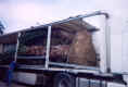 bord1.jpg (144866 byte)