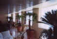 giardino2.jpg (112810 byte)