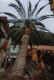 1.jpg (133033 byte)