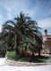 4.jpg (120914 byte)