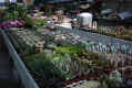 PICT0066.JPG (179248 byte)