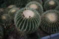 PICT0067.JPG (178788 byte)