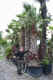 5.jpg (176223 byte)